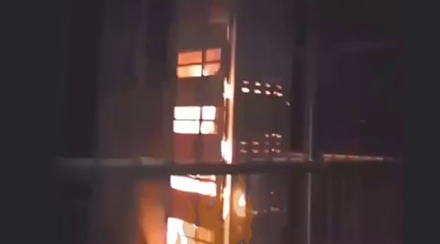 Партизаны превратили военную базу в остров тишины