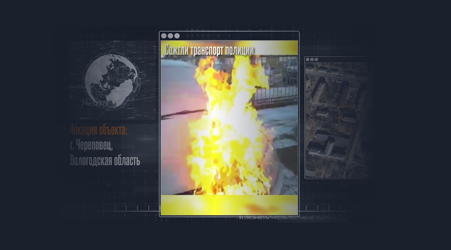 Череповец: страх пришёл в их двор