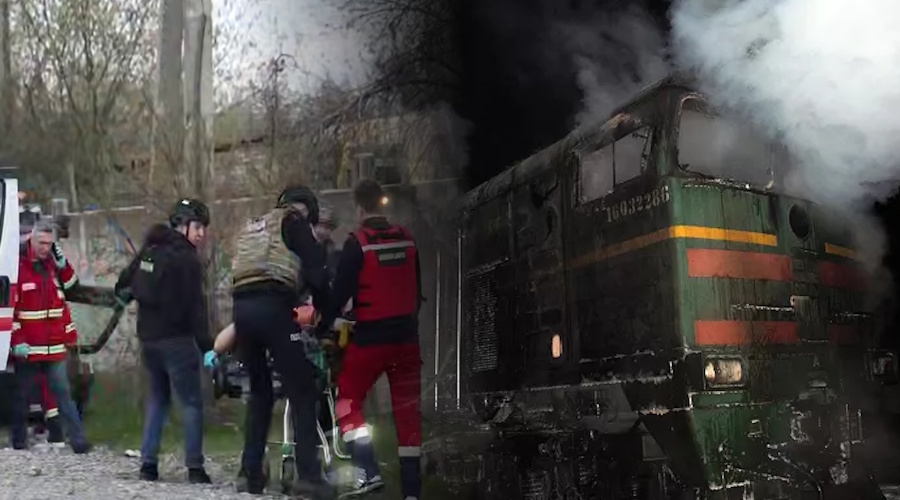 Мир порезов